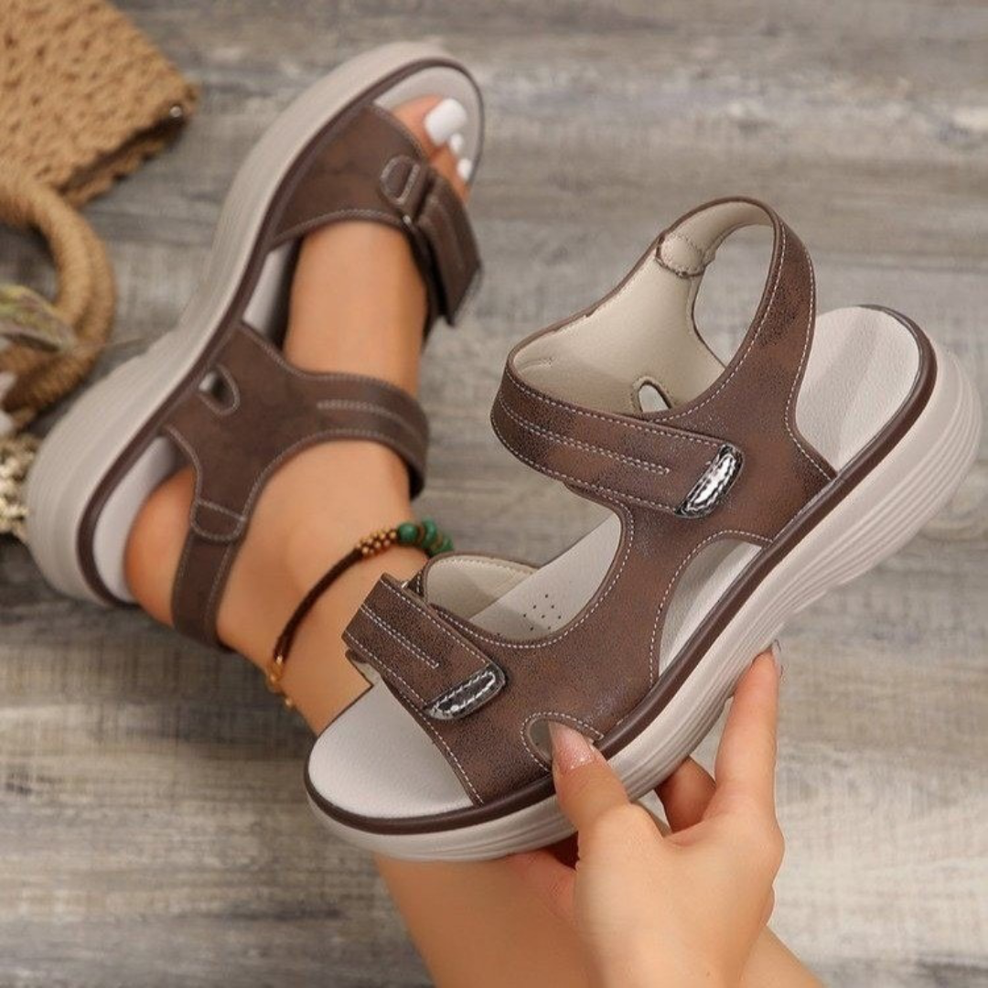 Marron / 43