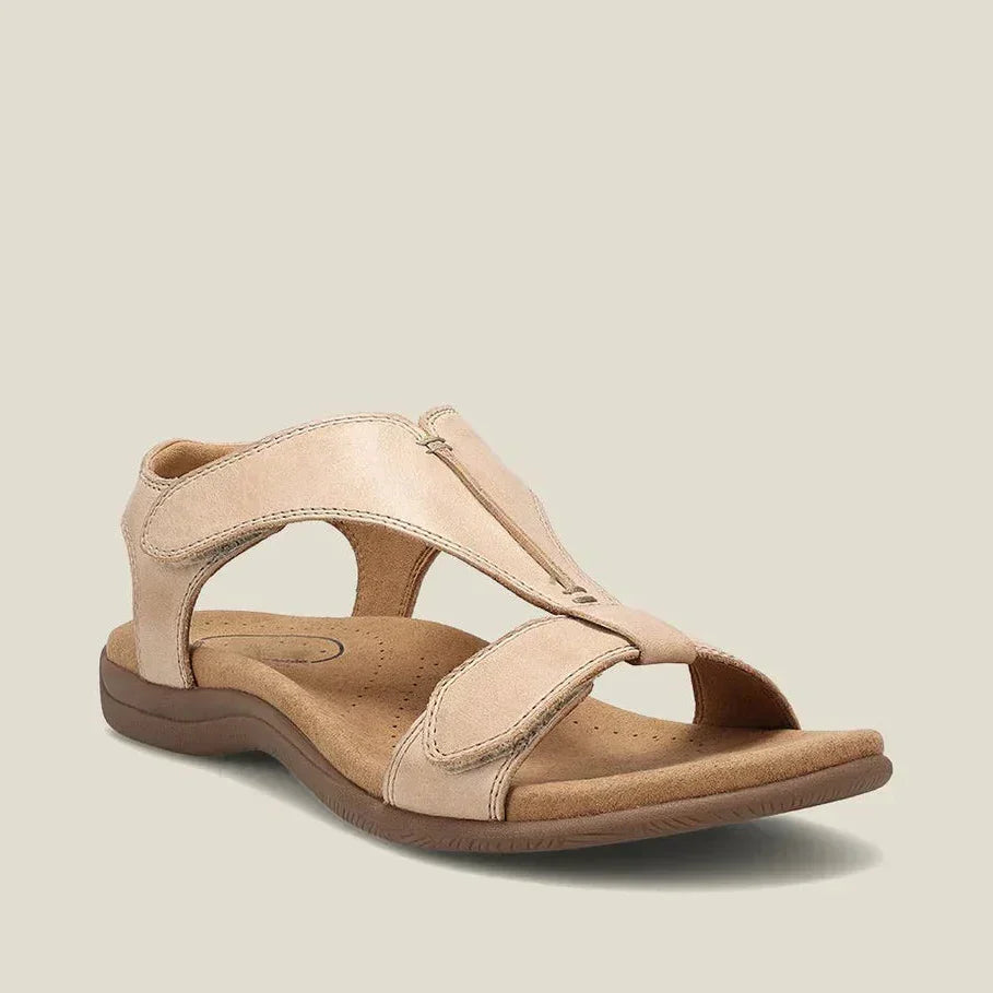 Beige / 45