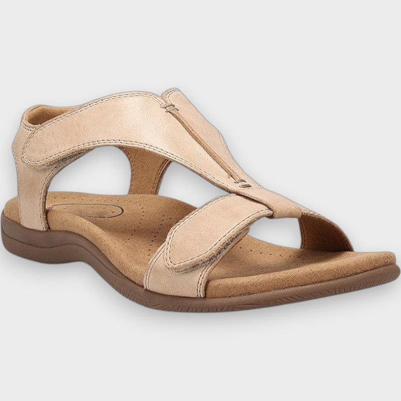 Beige / 43